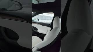 Tesla Model S Plaid Interior [upl. by Grimona947]