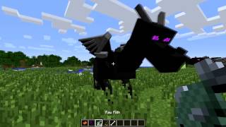 Minecraft ENDER DRAGON Mod  Episode 974 [upl. by Lauber]