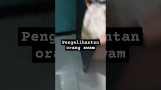 Pengelihatan orang b [upl. by Rybma]