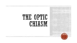 Optic Chiasm [upl. by Sessylu]