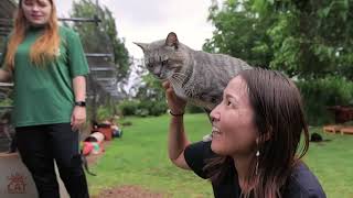 We are the Lanai Cat Sanctuary [upl. by Asek]