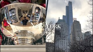 New York vlog ep03🗽뉴욕 자체만으로 좋았던 여행 Ralphs coffee Central Park MoMA Saks Fifth Ave Raku [upl. by Ahsieat]