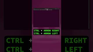 8 Linux Terminal Shortcuts You NEED to Know [upl. by Luella354]