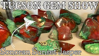 Mineral District  Tucson Gem amp Mineral Show 2024 [upl. by Cletus]