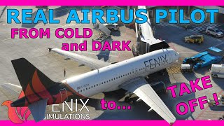 Fenix A320 Full Setup Guide with a Real Airbus Pilot Beginner Friendly [upl. by Sands]