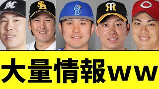 プロ野球 佐野残留、甲斐九里FA権行使など大量情報判明ｗｗ [upl. by Gabriella]