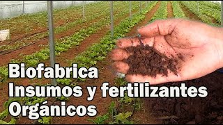 BIOFERTILIZANTES Y BIOINSUMOS AGRICULTURA ORGÁNICA [upl. by Edlin]