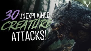 30 UNEXPLAINED Creature Attacks and Encounters COMPILATION [upl. by Ained]