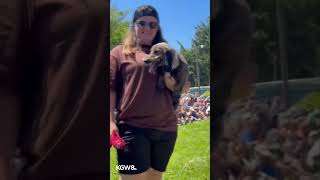 Wiener dogs race for charity on the Oregon Coast [upl. by Boyes]