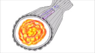 Cooling Methods for Rocket Nozzles [upl. by Twitt]