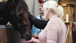 NZ 2000 Guineas Savaglee [upl. by Adhamh]