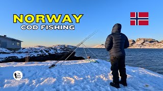 Catching Cod 34 In Norway [upl. by Rafaj]