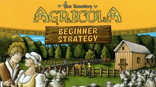 Agricola🌾 Strategy for Beginners [upl. by Yelnikcm]