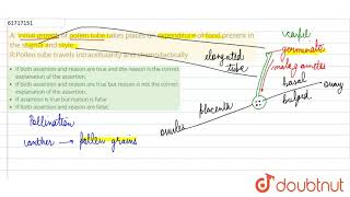 A Initial growth of pollen tube takes places on expenditure of food present in the stigma and style [upl. by Carilla]