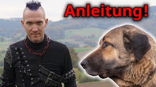 Mit katastrophalem Herdenschutzhund zu herrlich entspannten Spaziergängen Anleitung [upl. by Lussier208]