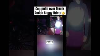 Cop Pulls Amish Driver Over for Suspicion of DUI cops amish driving horse [upl. by Inek]