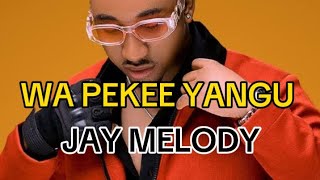 Jay Melody  Wa pekee yangu Lyrics [upl. by Yseulte]