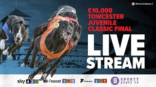 £10000 Towcester Juvenile Classic Final  Live Greyhound Racing  Racing Post Greyhound TV [upl. by Peterus]