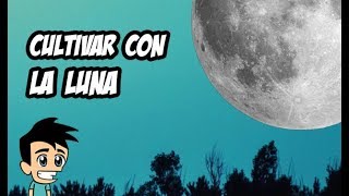 Cómo Cultivar y Sembrar Según las Fases de la Luna 🌙 Consejos para Huerto y Jardín 🌱 [upl. by Dov]