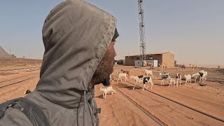 Remote Village Life in Mauritania 🇲🇷 [upl. by Anomas]