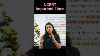 Racemose vs cymose inflorescence  NCERT important lines for NEET  Revision Biology NEET [upl. by Liesa]