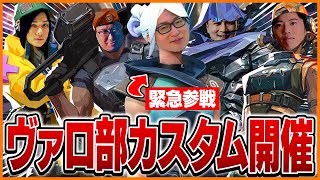 ヴァロ部カスタムに緊急参戦するたいじ【たいじ加藤純一はんじょうこく兄蛇足UKマゴバトラゆゆうたすももVALORANT】 [upl. by Kulsrud]