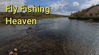 Fly Fishing and Tarp Camping in Swedish Lapland [upl. by Otilia]