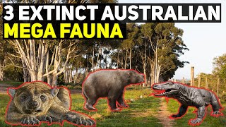 3 Extinct Australian Mega Fauna [upl. by Acacia130]