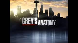 Greys Anatomy Theme Song [upl. by Starling]