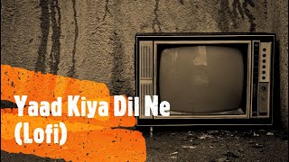 Yaad Kiya Dil Ne Lofi Remix  Patita 1953  Indian Lofi [upl. by Kermit]