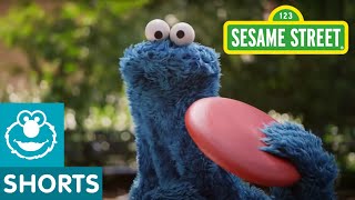 Sesame Street Catch allnew episodes of Sesame Street [upl. by Gar]