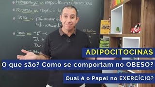 Adipocitocinas O que são Como se comportam no Obeso Qual é o Papel no Exercício [upl. by Nuahsal]