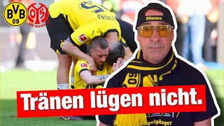 Schockstarre im Tempel 🥲🥲🥲Borussia Dortmund  Mainz Mit Video [upl. by Liberati74]