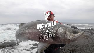 MC works 公式 ≫ ROCK SHORE ≫ 青物とヒラスズキを狙って禊（みそぎ）釣行。軽快さが売りのニューモデルが登場！ [upl. by Ynej]