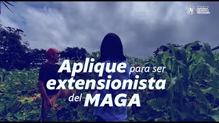 Tutorial para aplicar a la convocatoria de extensionistas [upl. by Sineray256]