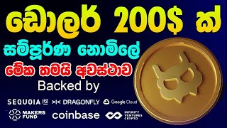 battle showdown new airdrop sinhala free airdrop sinhala new games airdropsinhala biggestairdrop [upl. by Yecam237]