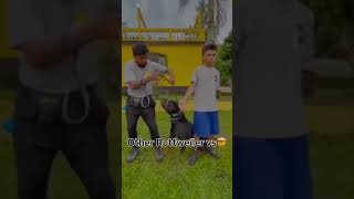 Wait for my Rottweiler aggression 😡  Nikhil Nisha Vlogs comedy nikhilnisha dog rottweiler [upl. by Aix]