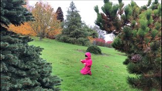 🇵🇭 Bedgebury Pinetum Forest Kent England Rainy Autumn Walk and Foraging [upl. by Dee Dee]