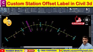 Custom Station Offset Label in Civil 3d  Station Offset Label with Line to the Alignment [upl. by Cecilia892]