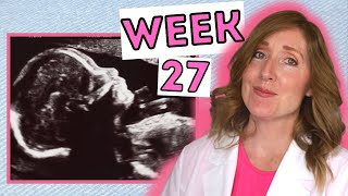 What to Expect at 27 Weeks  Week by Week 27 Weeks Pregnant in Months [upl. by Lucas]