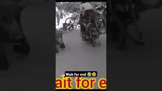 Heropanti cycle 🤣  shortvideo viralvideo ussladkipedilaayahai comedy funny [upl. by Cristobal243]