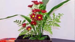 Ikebana International Chapter 42 Exhibit [upl. by Nepean259]