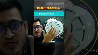 Cilia amp flagella explained 💯🔥♥️pwshorts physicswallah vipin neetviralshorts Masrat561 [upl. by Annodam965]