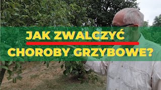 Jak zwalczyć choroby grzybowe na roślinach ozdobnych [upl. by Ahsiugal]