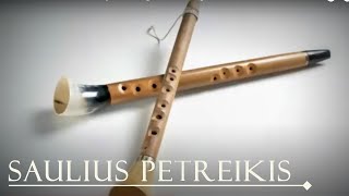 Lithuanian folk instrument Birbyne Baltic Vikings Calm Music Folk Music Saulius Petreikis [upl. by Tham]