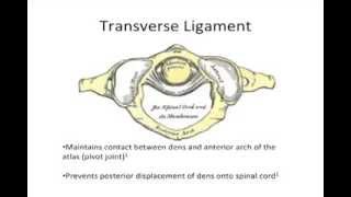 Transverse Ligament Test To assess the integrity of the transverse ligament and cervical stability [upl. by Harehs232]