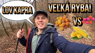 Lov kapra 2024  Súboj nástrah 🌽 Kukurica vs Boilies vs Rožkové Boilies 🐋 na method [upl. by Nyad]