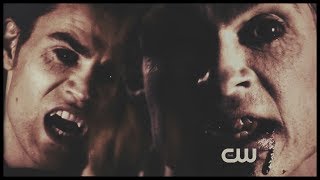 FLESH damon amp stefan [upl. by Nylarat]