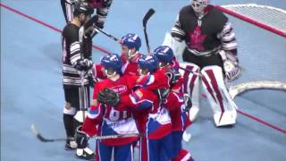 Canada vs Czech Gold Medal Game 2011 World Ball Hockey Championships [upl. by Hochman]