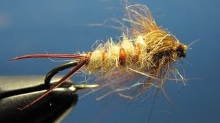 Early brown stonefly nymph [upl. by Layor]